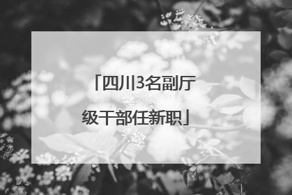 四川3名副厅级干部任新职
