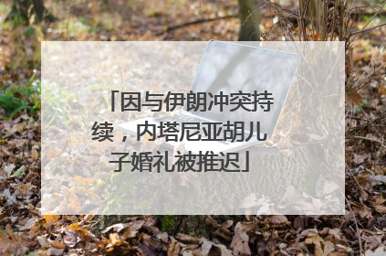 因与伊朗冲突持续，内塔尼亚胡儿子婚礼被推迟