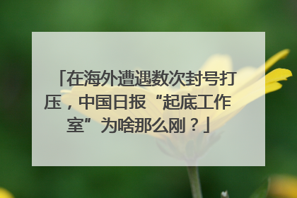 在海外遭遇数次封号打压，中国日报“起底工作室”为啥那么刚？