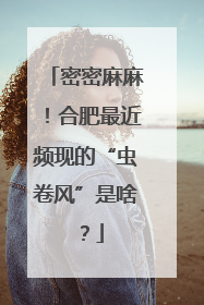 密密麻麻！合肥最近频现的“虫卷风”是啥？