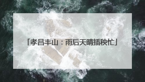 孝昌丰山：雨后天晴插秧忙