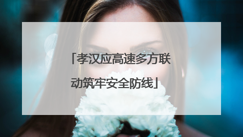 孝汉应高速多方联动筑牢安全防线