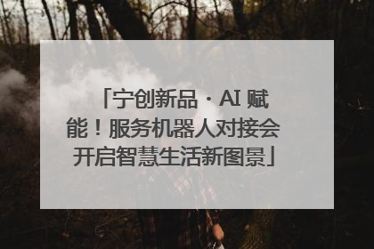 宁创新品・AI 赋能！服务机器人对接会开启智慧生活新图景