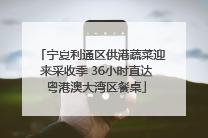 宁夏利通区供港蔬菜迎来采收季 36小时直达粤港澳大湾区餐桌