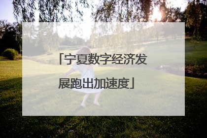 宁夏数字经济发展跑出加速度