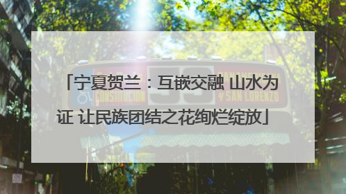 宁夏贺兰：互嵌交融 山水为证 让民族团结之花绚烂绽放