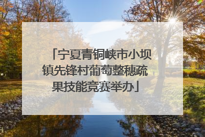 宁夏青铜峡市小坝镇先锋村葡萄整穗疏果技能竞赛举办