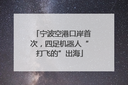 宁波空港口岸首次，四足机器人“打飞的”出海