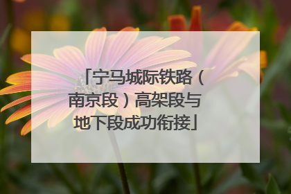 宁马城际铁路（南京段）高架段与地下段成功衔接