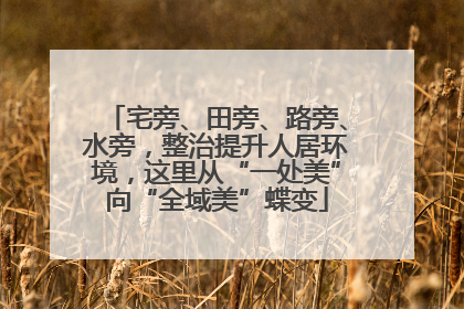 宅旁、田旁、路旁、水旁，整治提升人居环境，这里从“一处美”向“全域美”蝶变