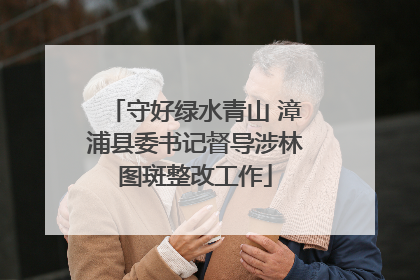 守好绿水青山 漳浦县委书记督导涉林图斑整改工作