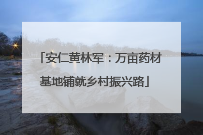 安仁黄林军：万亩药材基地铺就乡村振兴路
