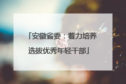 安徽省委：着力培养选拔优秀年轻干部