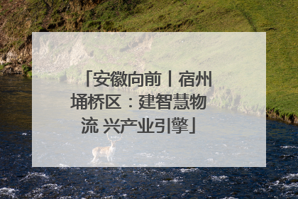 安徽向前丨宿州埇桥区：建智慧物流 兴产业引擎