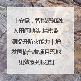 安徽：智能感知融入田间地头 精密监测提升防灾能力｜增发国债气象项目落地见效系列报道