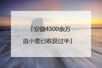 安徽4300余万亩小麦已收获过半