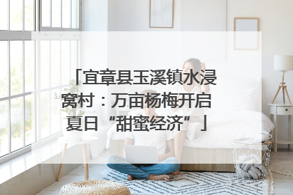 宜章县玉溪镇水浸窝村：万亩杨梅开启夏日“甜蜜经济”