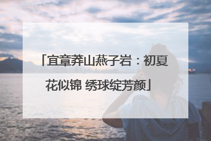 宜章莽山燕子岩：初夏花似锦 绣球绽芳颜