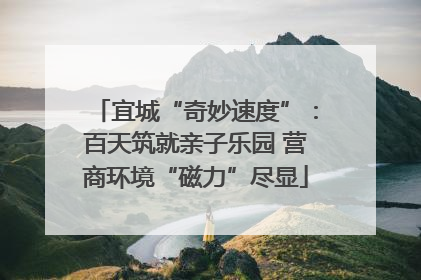 宜城“奇妙速度”：百天筑就亲子乐园 营商环境“磁力”尽显