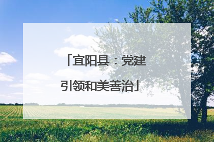 宜阳县：党建引领和美善治