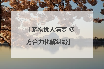 宠物扰人清梦 多方合力化解纠纷