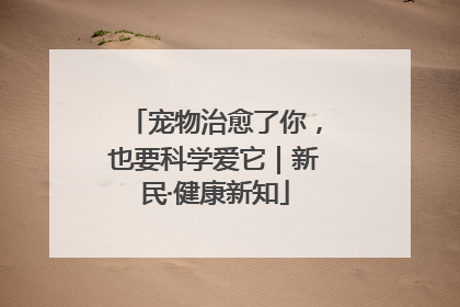 宠物治愈了你，也要科学爱它｜新民·健康新知