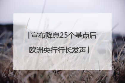 宣布降息25个基点后 欧洲央行行长发声