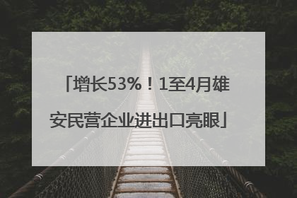 增长53%！1至4月雄安民营企业进出口亮眼