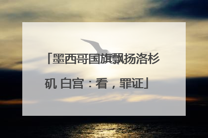 墨西哥国旗飘扬洛杉矶 白宫：看，罪证
