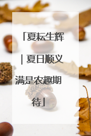 夏耘生辉｜夏日顺义满是农趣期待