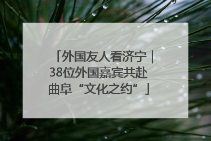 外国友人看济宁｜38位外国嘉宾共赴曲阜“文化之约”