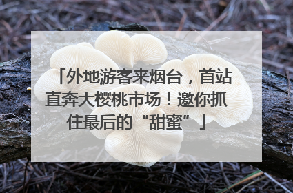 外地游客来烟台，首站直奔大樱桃市场！邀你抓住最后的“甜蜜”