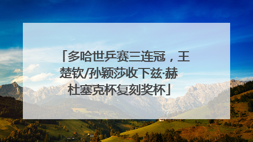 多哈世乒赛三连冠，王楚钦/孙颖莎收下兹·赫杜塞克杯复刻奖杯