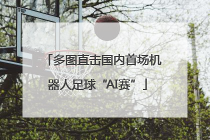 多图直击国内首场机器人足球“AI赛”
