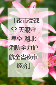 夜市变课堂 天眼守星空 湖北消防全力护航全省夜市经济