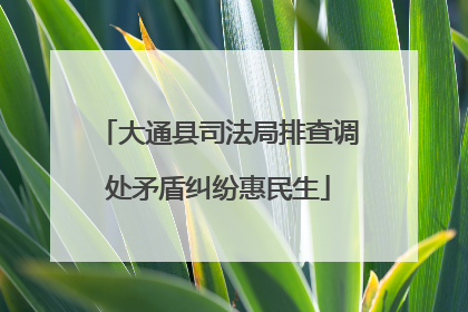 大通县司法局排查调处矛盾纠纷惠民生