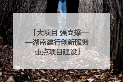 大项目 强支撑——湖南建行创新服务重点项目建设