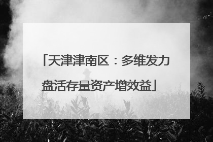 天津津南区：多维发力盘活存量资产增效益