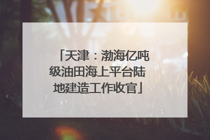 天津：渤海亿吨级油田海上平台陆地建造工作收官