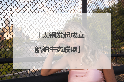 太钢发起成立船舶生态联盟