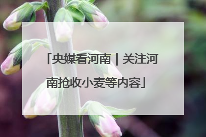 央媒看河南｜关注河南抢收小麦等内容