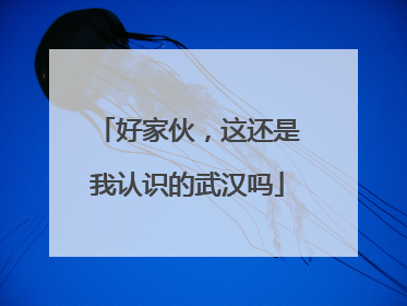 好家伙，这还是我认识的武汉吗