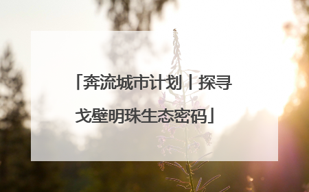 奔流城市计划丨探寻戈壁明珠生态密码