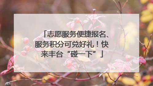 志愿服务便捷报名、服务积分可兑好礼！快来丰台“碰一下”