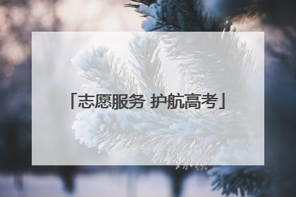志愿服务 护航高考