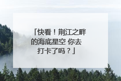 快看！荆江之畔的海底星空 你去打卡了吗？