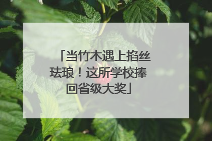 当竹木遇上掐丝珐琅！这所学校捧回省级大奖