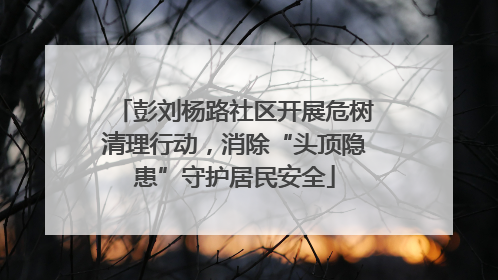 彭刘杨路社区开展危树清理行动，消除“头顶隐患”守护居民安全
