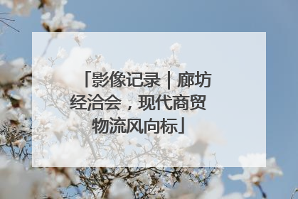 影像记录｜廊坊经洽会，现代商贸物流风向标