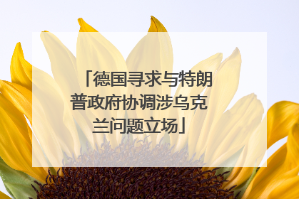 德国寻求与特朗普政府协调涉乌克兰问题立场